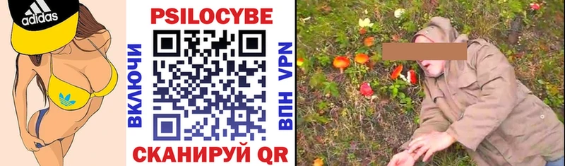Псилоцибиновые грибы Psilocybe  Правдинск 